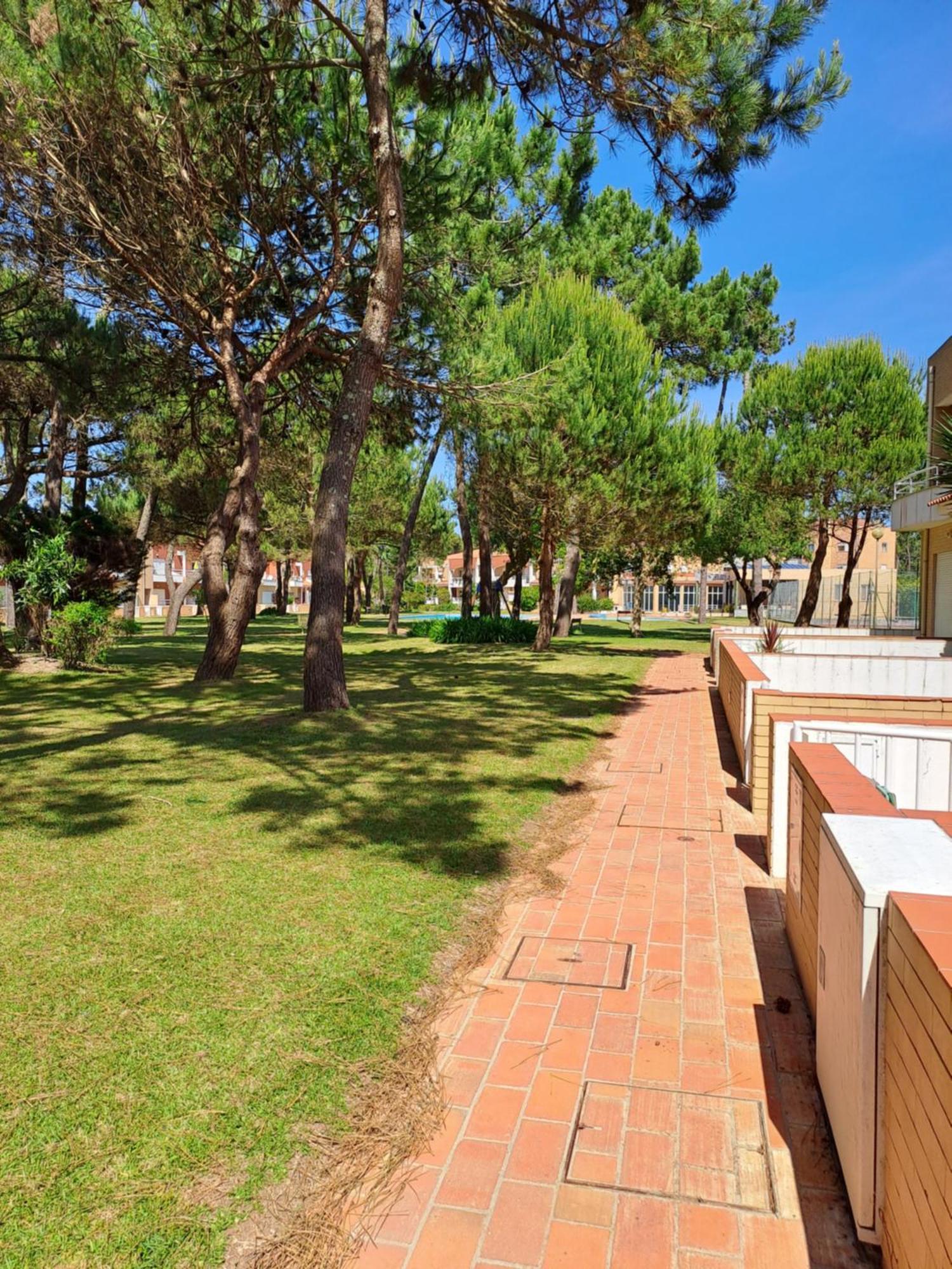 Little Paradise Al - Fao Bagian luar foto